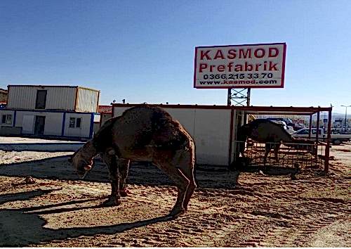 Kasmod Prafabrik'ten Olağan Gün 